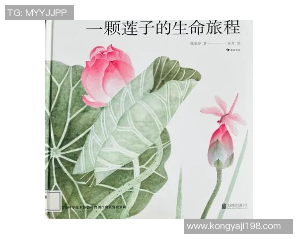 深度对话:陈军讲述他的足球旅程与人生哲学